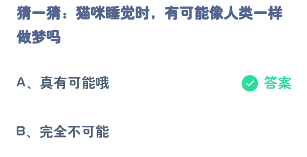 蚂蚁庄园4月11日:猫咪睡觉时有可能像人类一样做梦吗