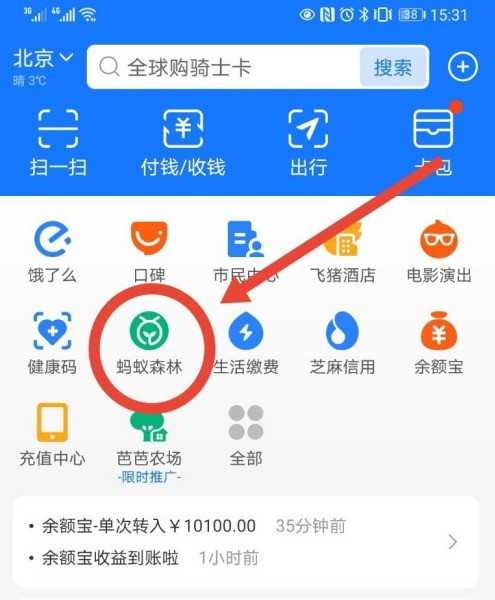 支付宝蚂蚁森林怎么停用_支付宝停用蚂蚁森林操作步骤