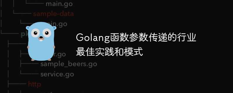 Golang函数参数传递的行业最佳实践和模式