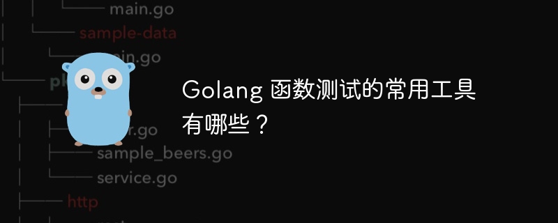 Golang 函数测试的常用工具有哪些？