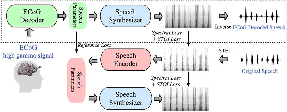 AI助力脑机接口研究，纽约大学突破性神经语音解码技术，登Nature子刊