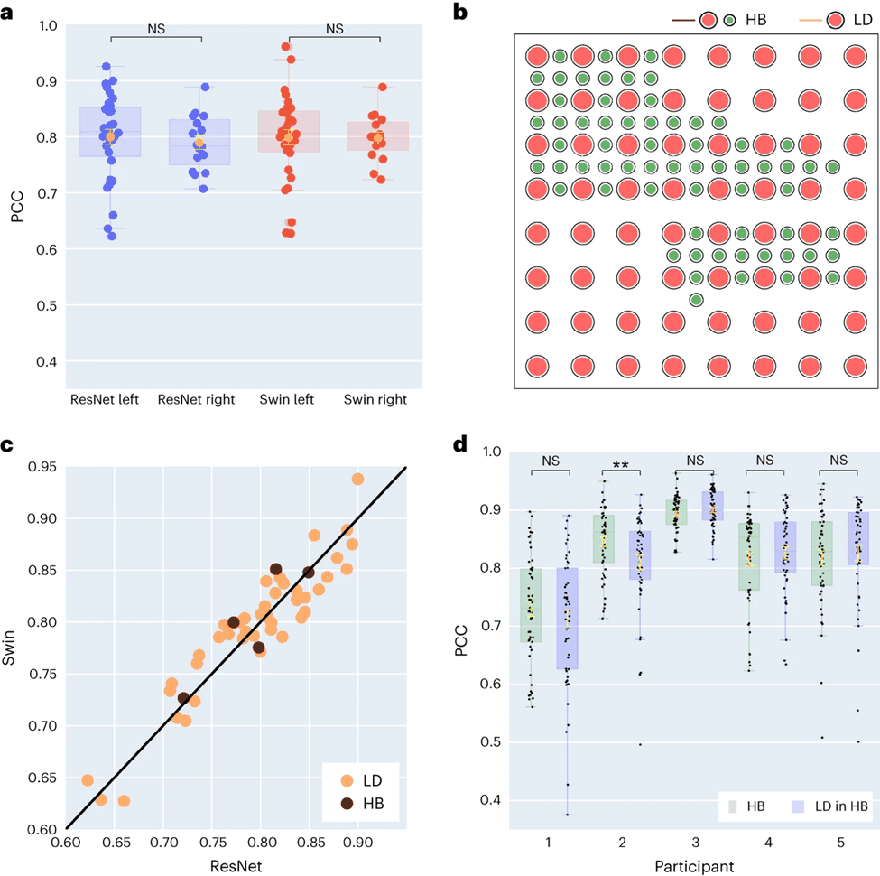 AI助力脑机接口研究，纽约大学突破性神经语音解码技术，登Nature子刊