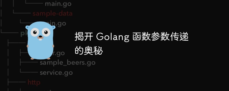 揭开 Golang 函数参数传递的奥秘