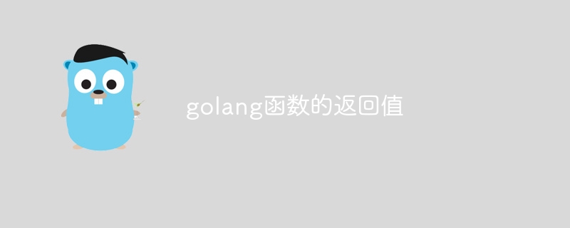 golang函数的返回值