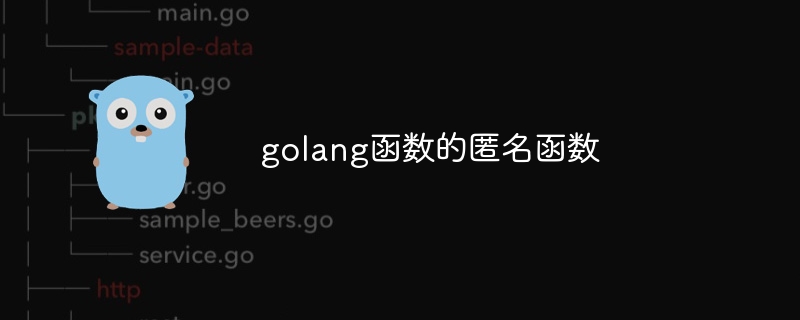 golang函数的匿名函数