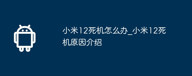 小米12死机怎么办_小米12死机原因介绍