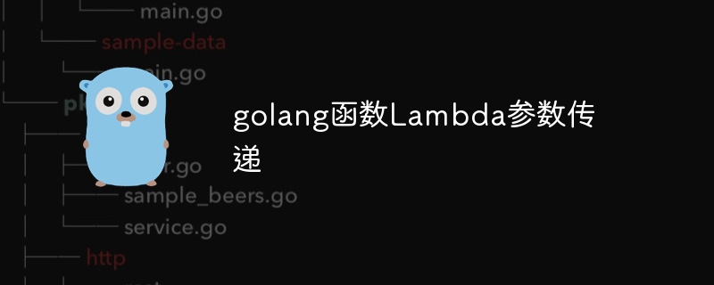 golang函数Lambda参数传递