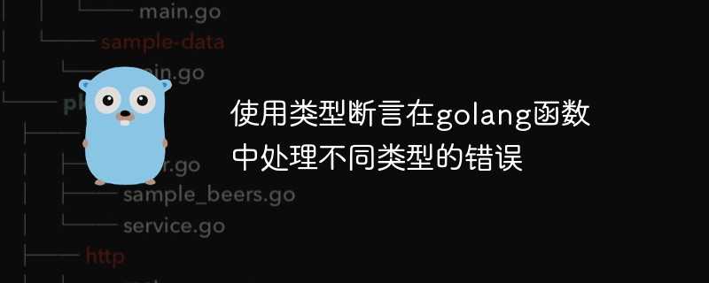 使用类型断言在golang函数中处理不同类型的错误