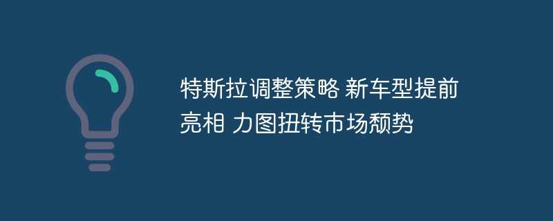 特斯拉调整策略 新车型提前亮相 力图扭转市场颓势