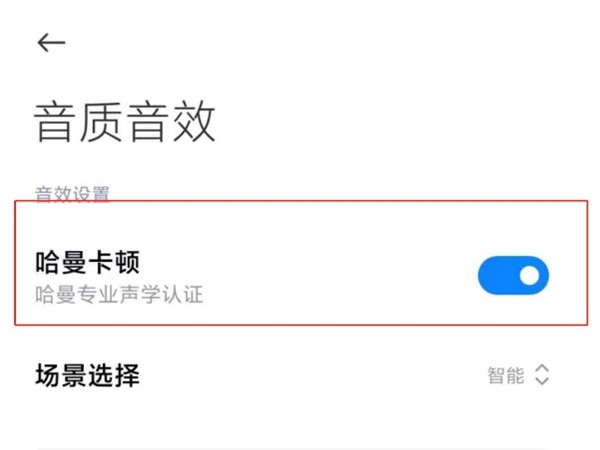 小米10s音效在哪里设置_小米10s设置音效的方法