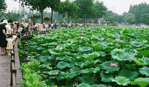 2024年苏州夏天热还是南京夏天热3