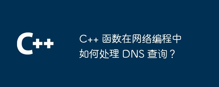 C++ 函数在网络编程中如何处理 DNS 查询？