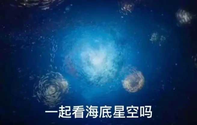 海底星空的梗介绍