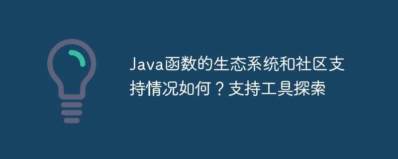 Java函数的生态系统和社区支持情况如何？支持工具探索