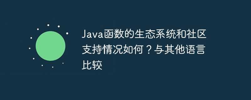 Java函数的生态系统和社区支持情况如何？与其他语言比较