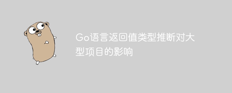 Go语言返回值类型推断对大型项目的影响