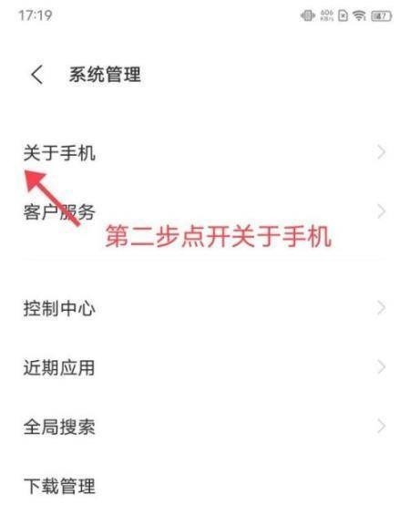 iQOO8Pro怎么进入开发者模式_iQOO8Pro进入开发者模式教程