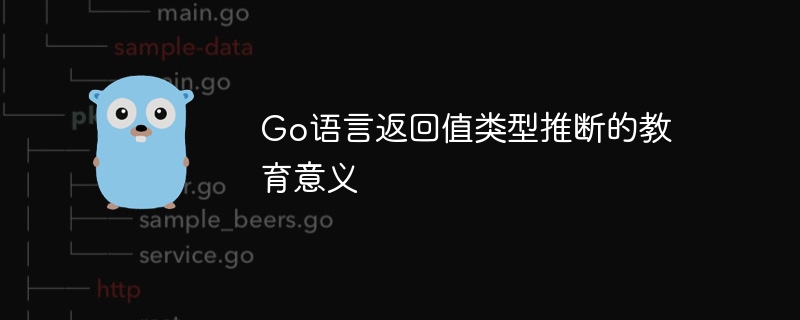 Go语言返回值类型推断的教育意义