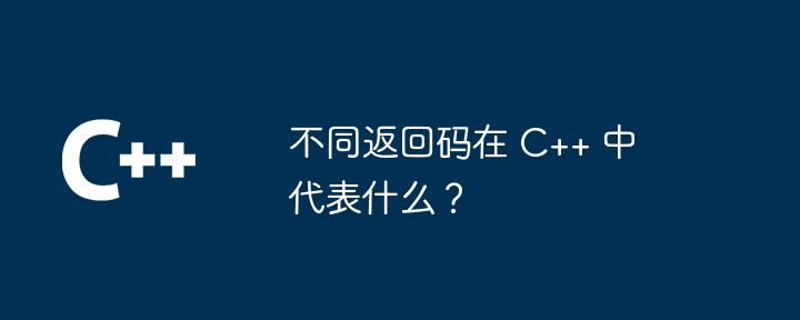 不同返回码在 C++ 中代表什么？