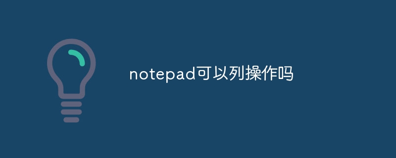 notepad可以列操作吗