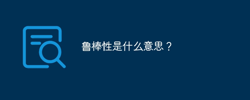 鲁棒性是什么意思？