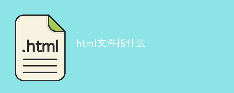 html文件指什么