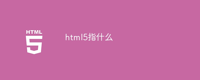 html5指什么