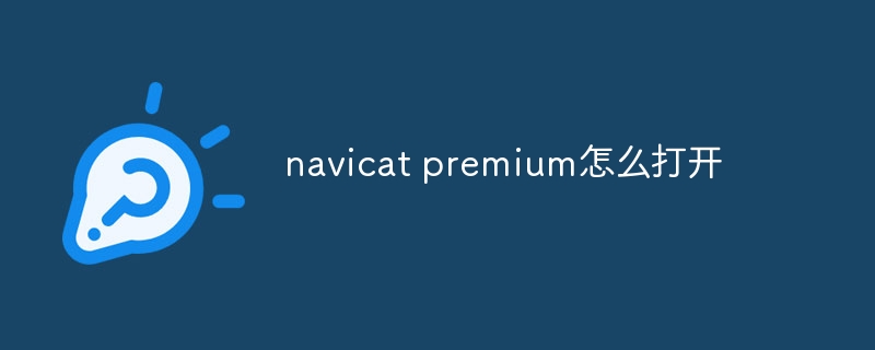 navicat premium怎么打开