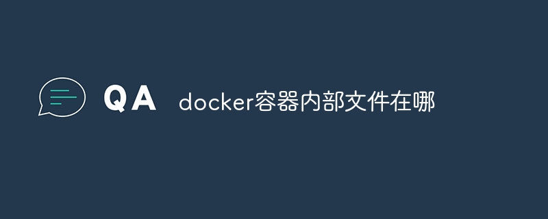 docker容器内部文件在哪