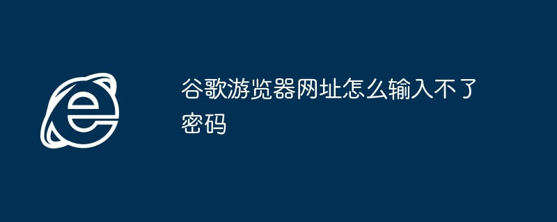 谷歌游览器网址怎么输入不了密码