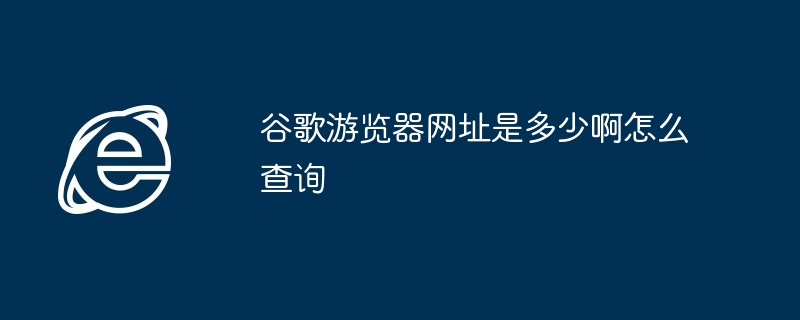 谷歌游览器网址是多少啊怎么查询