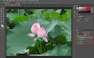 Photoshop制作水彩主题风格的荷花图