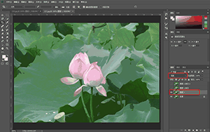 Photoshop制作水彩主题风格的荷花图
