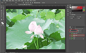 Photoshop制作水彩主题风格的荷花图