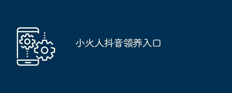 小火人抖音领养入口