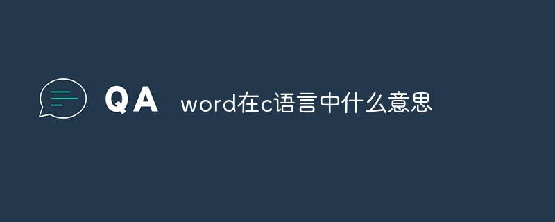 word在c语言中什么意思