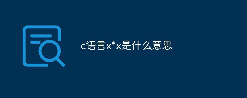 c语言x*x是什么意思