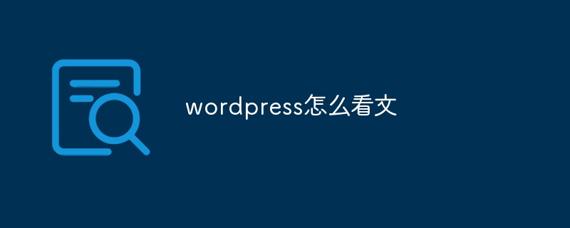 wordpress怎么看文