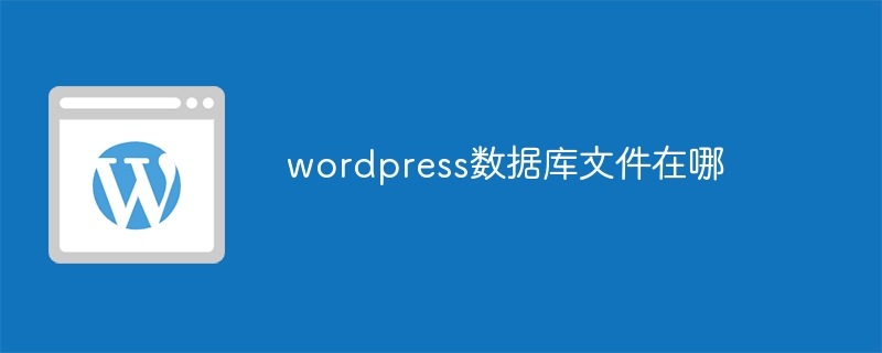 wordpress数据库文件在哪