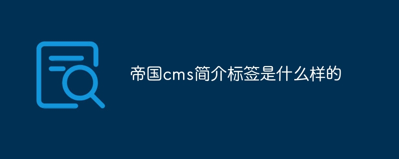 帝国cms简介标签是什么样的