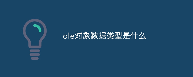 ole对象数据类型是什么