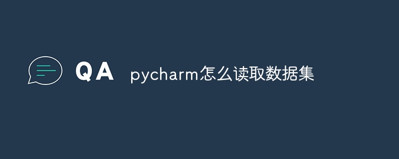 pycharm怎么读取数据集