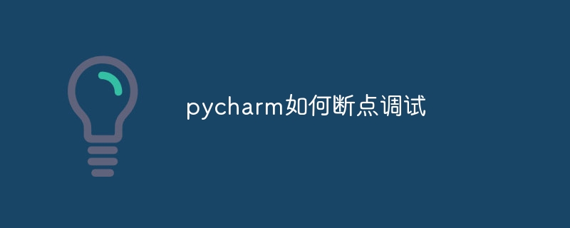 pycharm如何断点调试