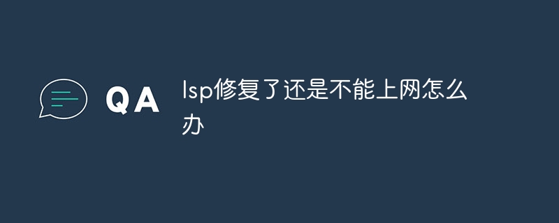 lsp修复了还是不能上网怎么办