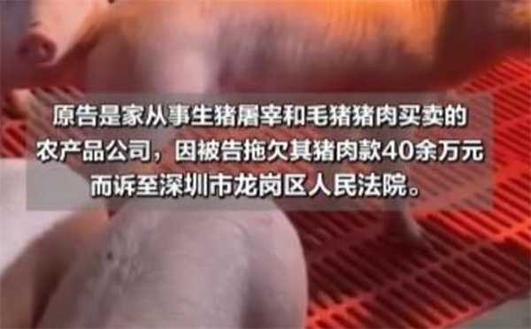 男子欠屠宰场40万怎么还