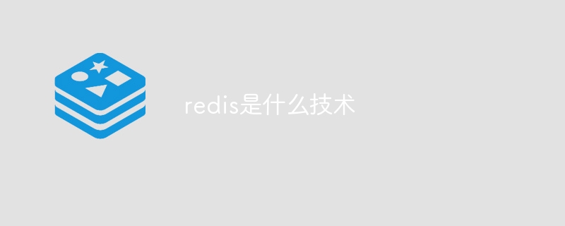 redis是什么技术