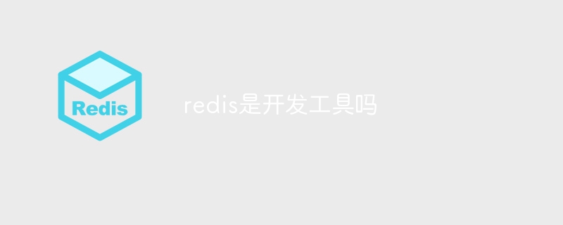 redis是开发工具吗