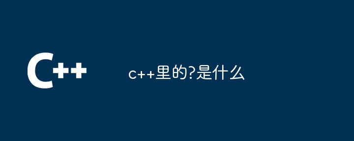 c++里的?是什么