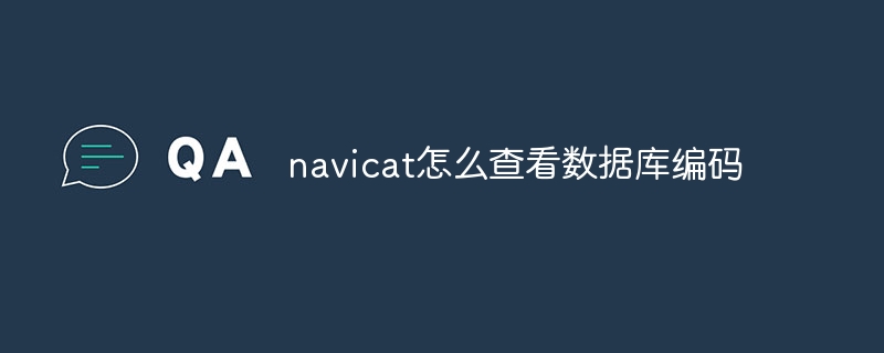 navicat怎么查看数据库编码