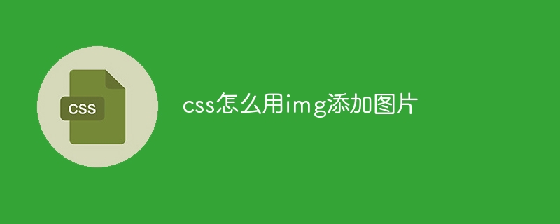 css怎么用img添加图片